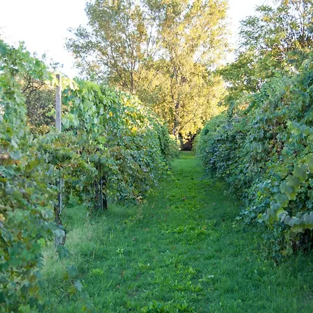 Principessa Pio Farm stay