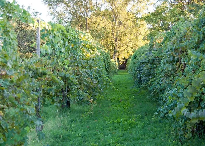 Principessa Pio Alloggio per agriturismo